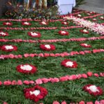 Galeria zdjęć dsc 0295 min