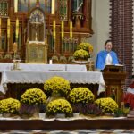 Galeria zdjęć dsc 0823