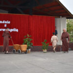 Galeria zdjęć dsc 0803